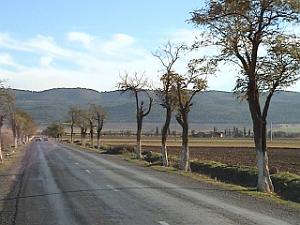 LE TELAGH SORTIE VERS BOSSUET